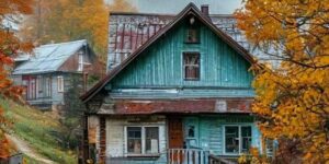 Wzruszająca historia o wierności... Oddała ostatnie sto rubli za rannego psa… A tydzień później on uratował jej życie!