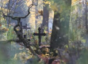 Zauważywszy przy grobie córki małą dziewczynkę, staruszka powoli podeszła… I nagle, zbliżywszy się, cofnęła się z przerażeniem.