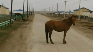 „Weźmiesz każdy krok tej drogi, aż zabraknie ci sił, by iść dalej” – powiedział ranczer do córki piekarza, a w jego głosie nie było ani cienia żartu.