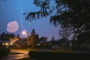 Poprosiłam sąsiadkę, żeby podlewała moje rośliny przez miesiąc — a gdy wróciłam, w moim domu mieszkała obca rodzina.