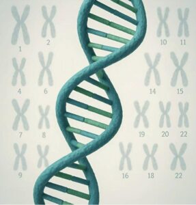 Opowiedziałam mężowi o długo wyczekiwanej ciąży i nagle dowiedziałam się, że jest bezpłodny: postanowiliśmy zrobić test DNA i byliśmy w szoku po wynikach...