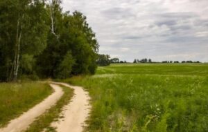 Skazaniec przed wykonaniem wyroku poprosił, by pozwolono mu zobaczyć psa. Rano strażnicy otworzyli drzwi celi i zamarli z przerażenia…