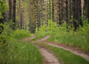 Pewna kobieta, podejrzewając swojego męża o zdradę, wynajęła prywatnego detektywa, ale gdy dotarła pod wskazany adres, to, co zobaczyła, ją przeraziło.