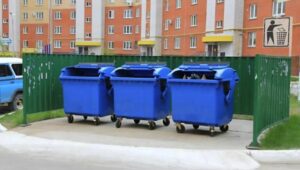 Każdego ranka siedemdziesięciodziewięcioletnia kobieta grzebała w koszach na śmieci na swoim podwórku. Wszyscy myśleli, że szuka czegoś do jedzenia… ale prawda, kiedy wychodziła na zewnątrz, była o wiele mroczniejsza, wręcz nie do zniesienia.
