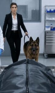 Pies, który nie chciał zaakceptować śmierci, sprzeciwił się lekarzom i wykazał zupełnie nieoczekiwane i niepokojące oznaki życia. Wszyscy myśleli, że nie żyje, ale kiedy pies wszedł i skoczył na ciało, stało się coś niesamowitego, co zszokowało wszystkich.